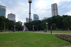 P1010454