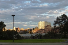 P1010462