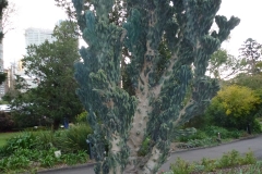P1010466