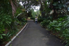 P1010470
