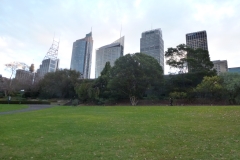 P1010472
