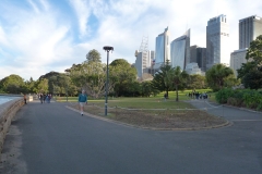 P1010493