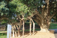 P1010497