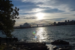 P1010503