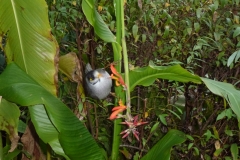 P1010509