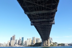 P1010533