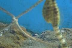 P1010575