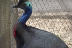 P1020190