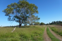 P1010760