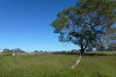 P1010761