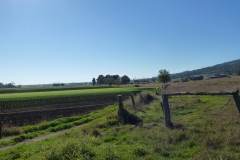 P1010762