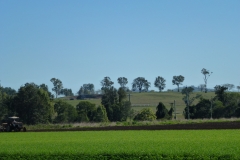 P1010764