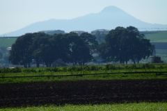 P1010765