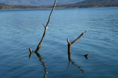 P1010781