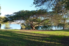 P1010795