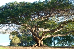 P1010796
