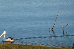 P1010798
