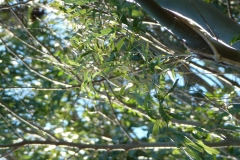 P1010803