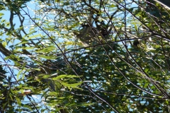 P1010804