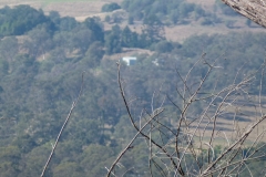 P1010807