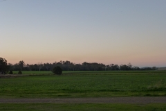 P1010887