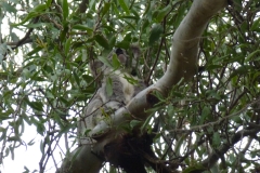 P1010896