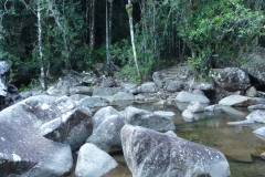P1020423