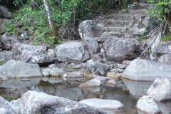 P1020424