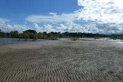 P1020702