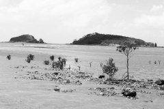 P1020319