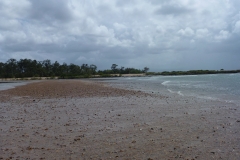 P1020328