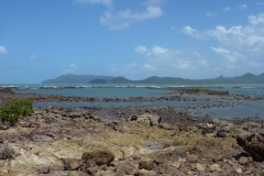 P1020336