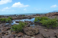 P1020346