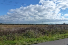 P1010646
