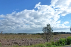 P1010647
