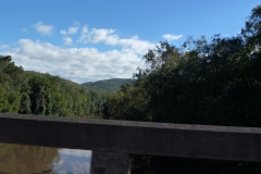 P1010652