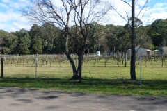 P1010656