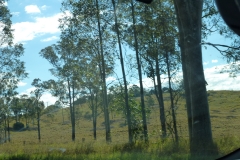 P1010657