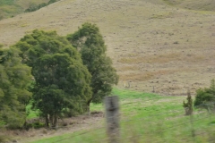 P1010661