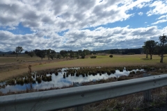 P1010668