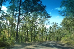 P1010674
