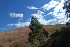P1010675