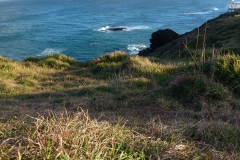 P1010716