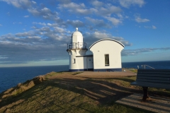 P1010720