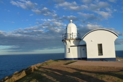 P1010721