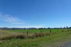 P1010733