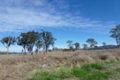 P1010734